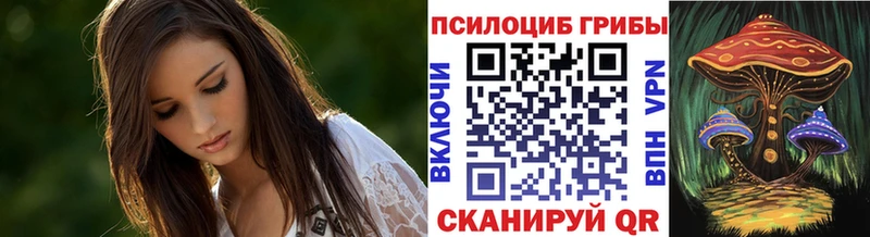 купить наркотик  Чайковский  Галлюциногенные грибы Psilocybine cubensis 